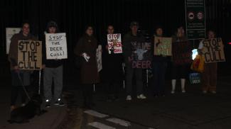 Campaigners gathered outside Richmond Park to protest against the deer cull