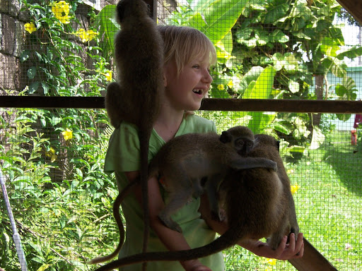 Angela playing with monkeys at St Kitts Green Sanctuary (2005) Photo: Private