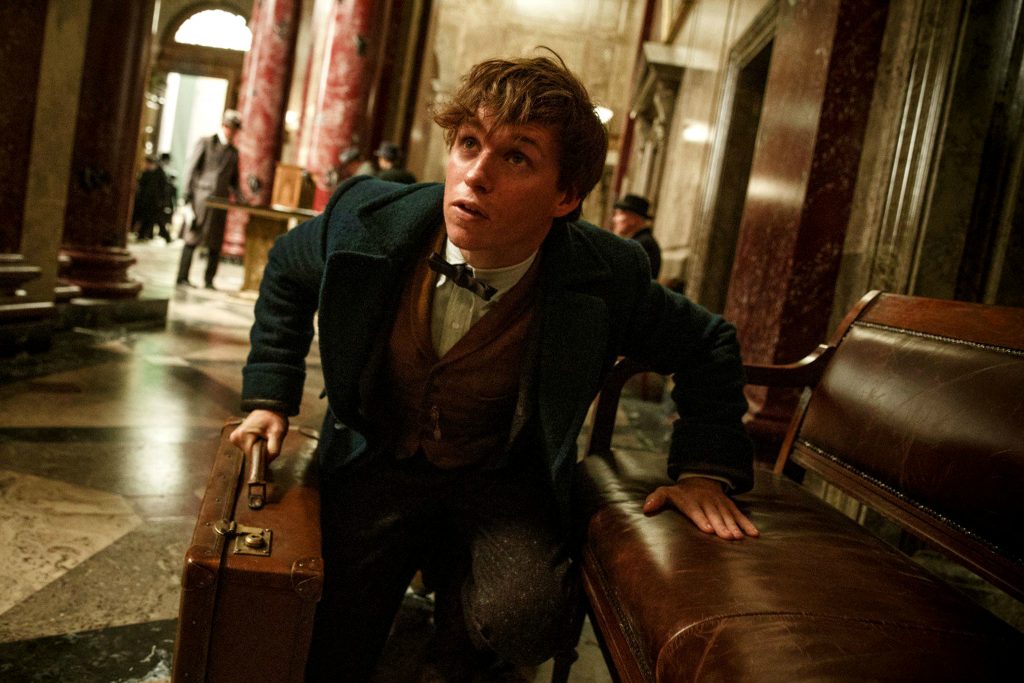 Eddie Redmayne as Newt Scamander in Fantastic Beasts and Where to Find Them (Photo by Moviestore)