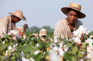 Solomon Northup working in a cotton field REX FEATURES