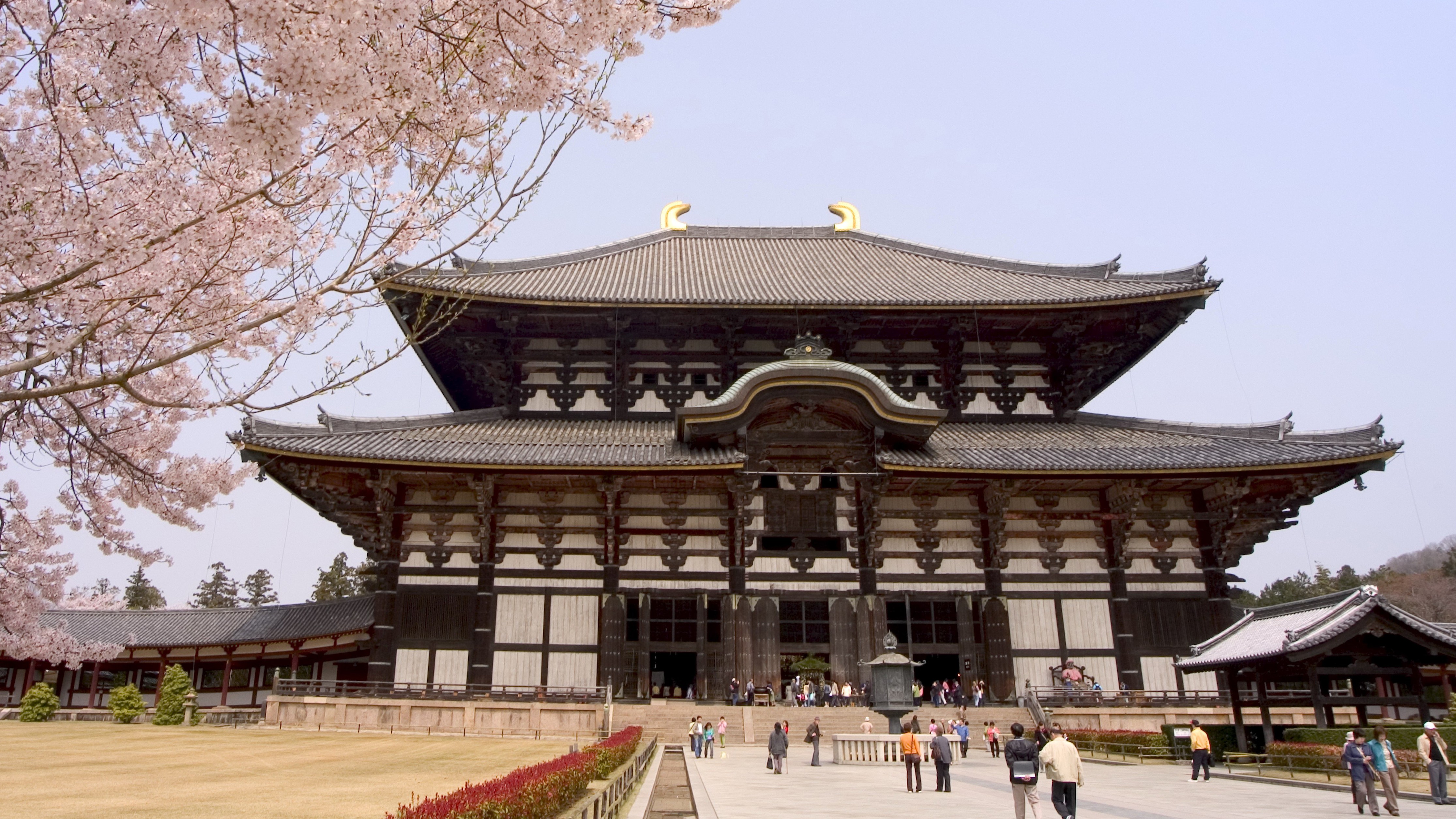 Kingston University architecture students build Japanese temple gate