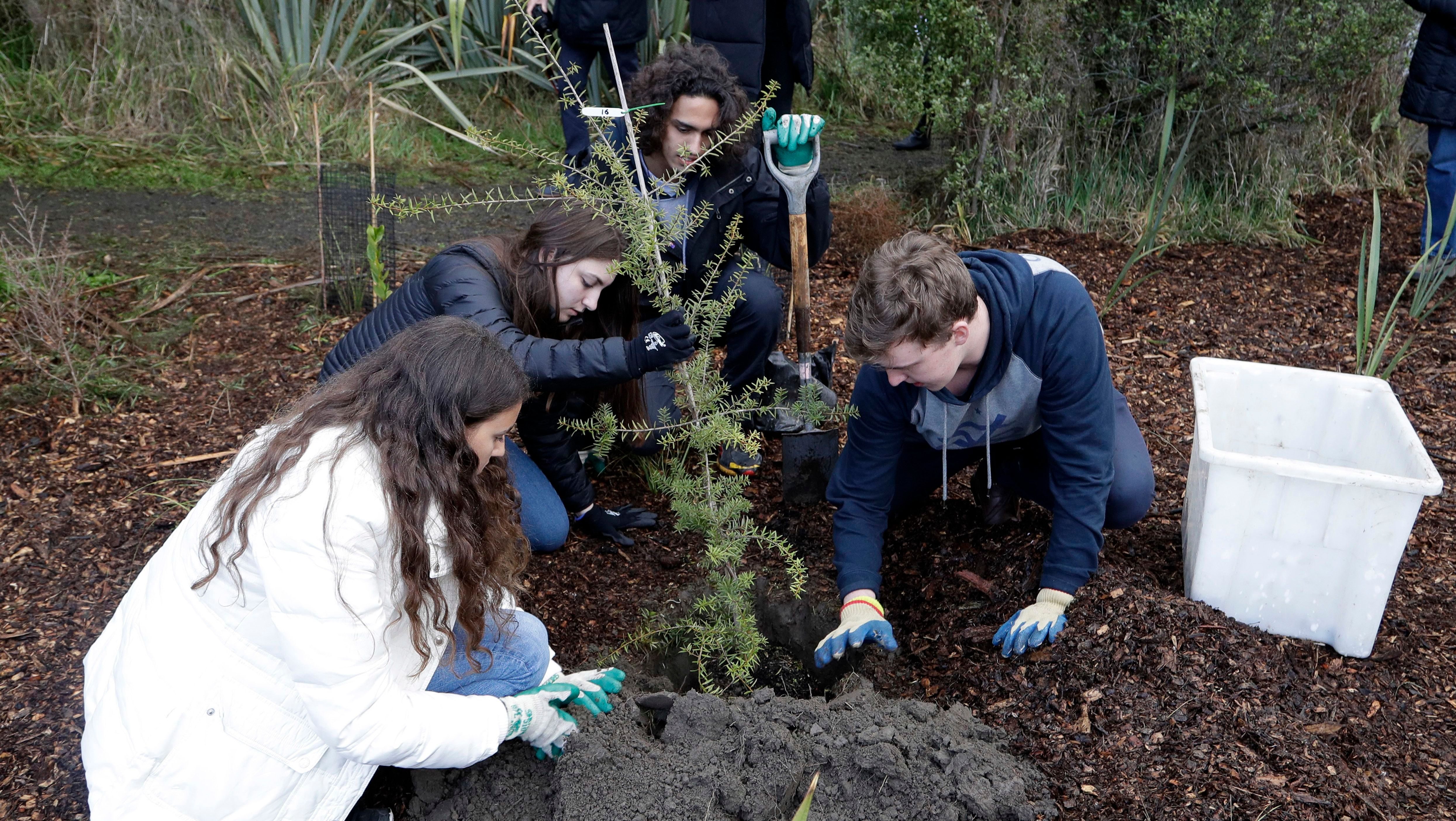 Kingston University Environmental society to help local council plant more trees