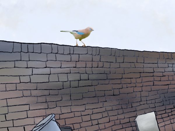 An illustration of a bird sitting on a brick wall.