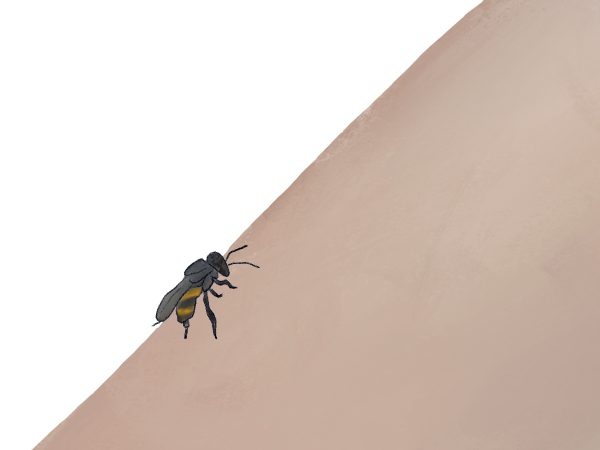 An illustration of a bee on an arm