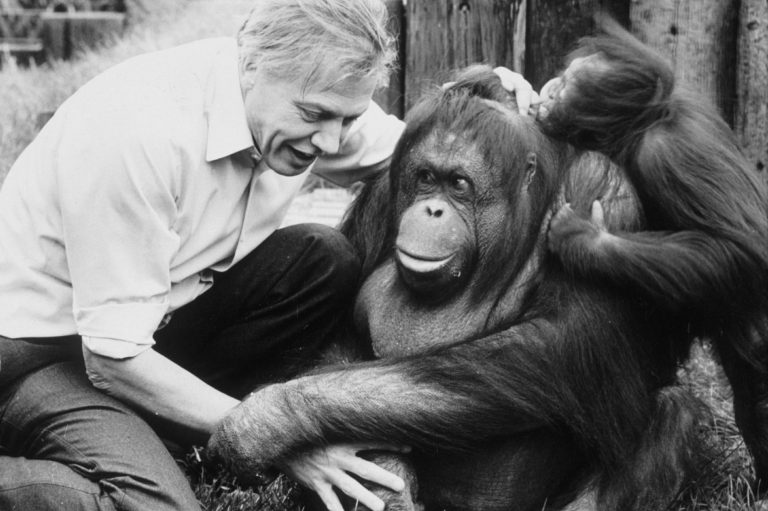 Despite cataclysmic predictions, Attenborough offers us a glimmer of hope