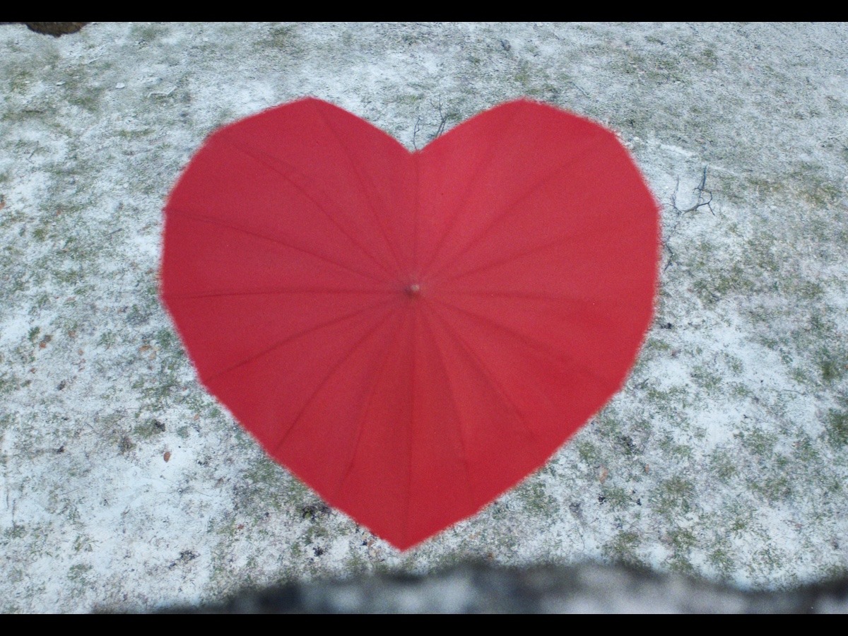 An umbrella in the shape of a love heart