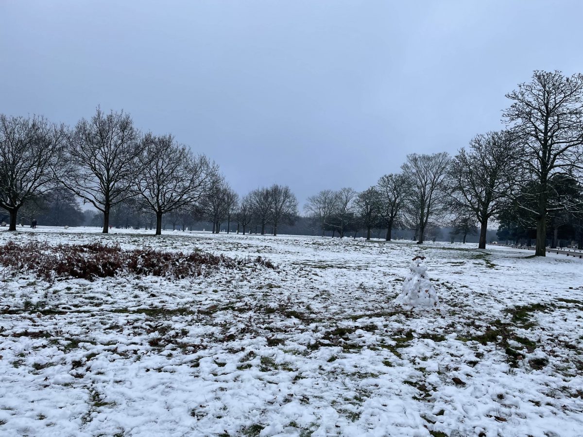 Picture of a park covered in snow
