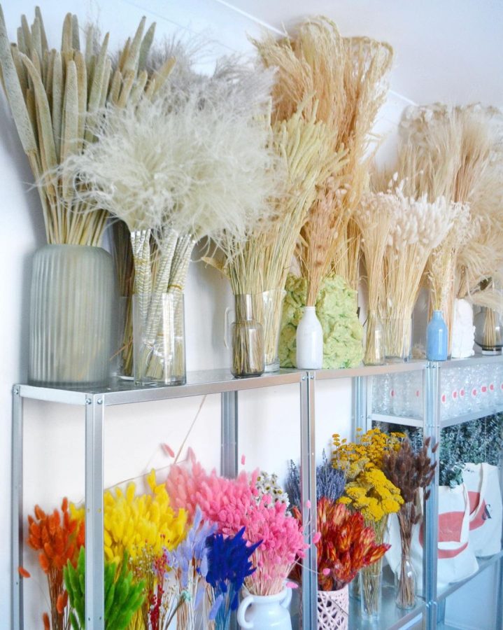 Dry grasses on display shelves