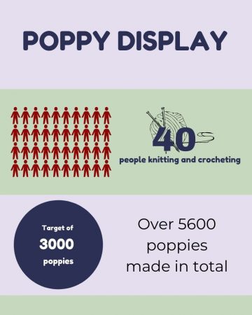 infographic on number of poppies