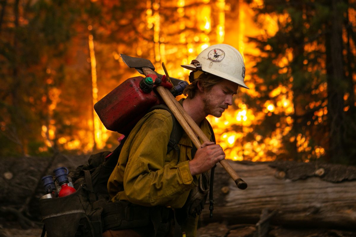 Firefighter in a forest fire