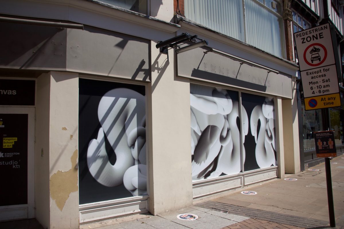 Miller's 3d swan artwork on display in Kingston town
