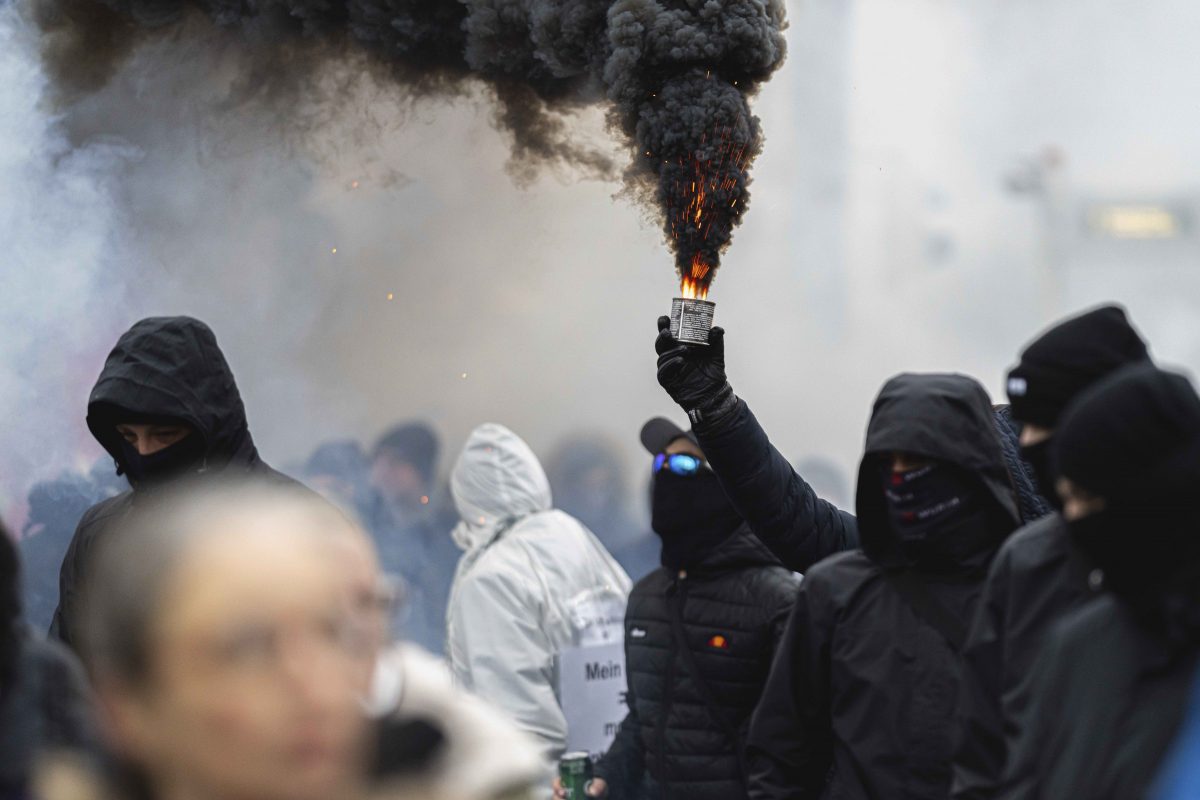 Protestors in Vienna.