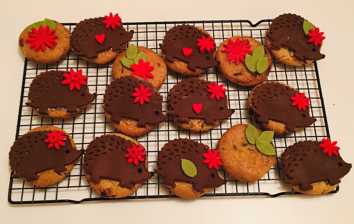 Hedgehog cookies