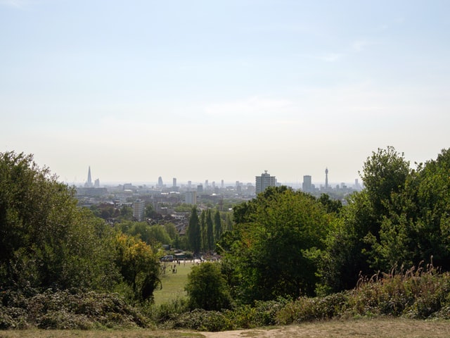 view of the city from a hill with trees and bushes