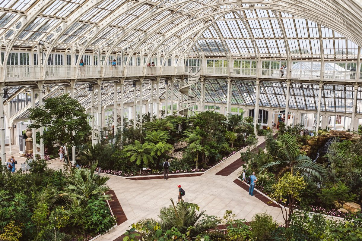 Inside a greenhouse at Kew Gardens