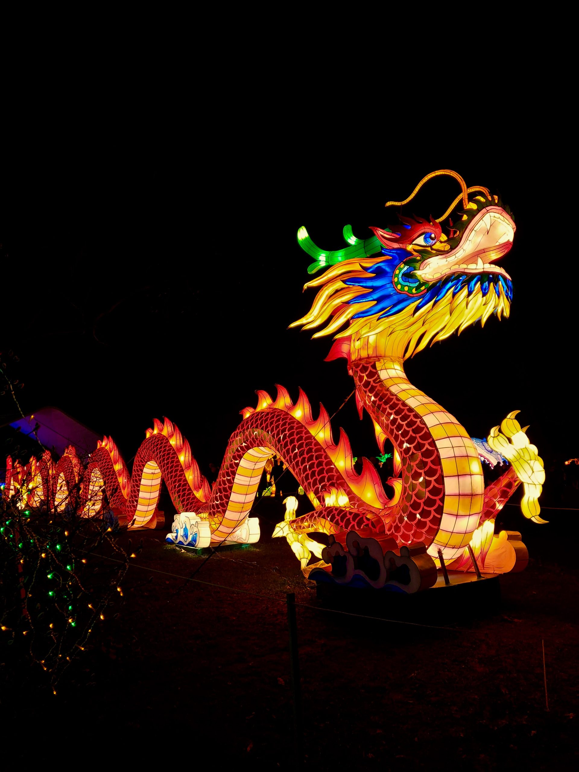 Dragon. Lunar New Year.