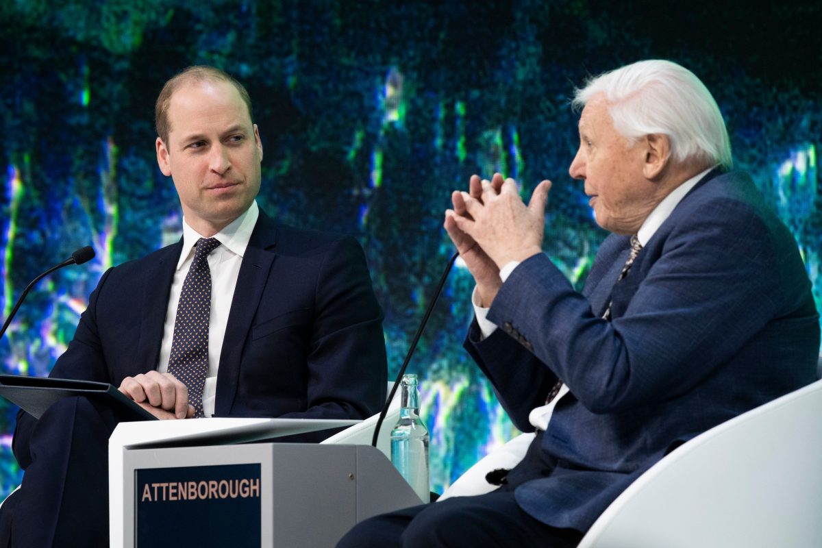 Prince William and Sir David Attenborough sat down talking