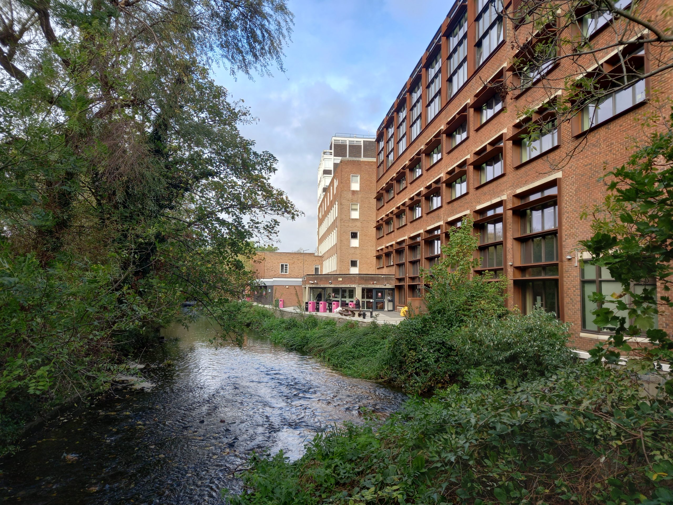 Hogsmill River near Knights Park campus