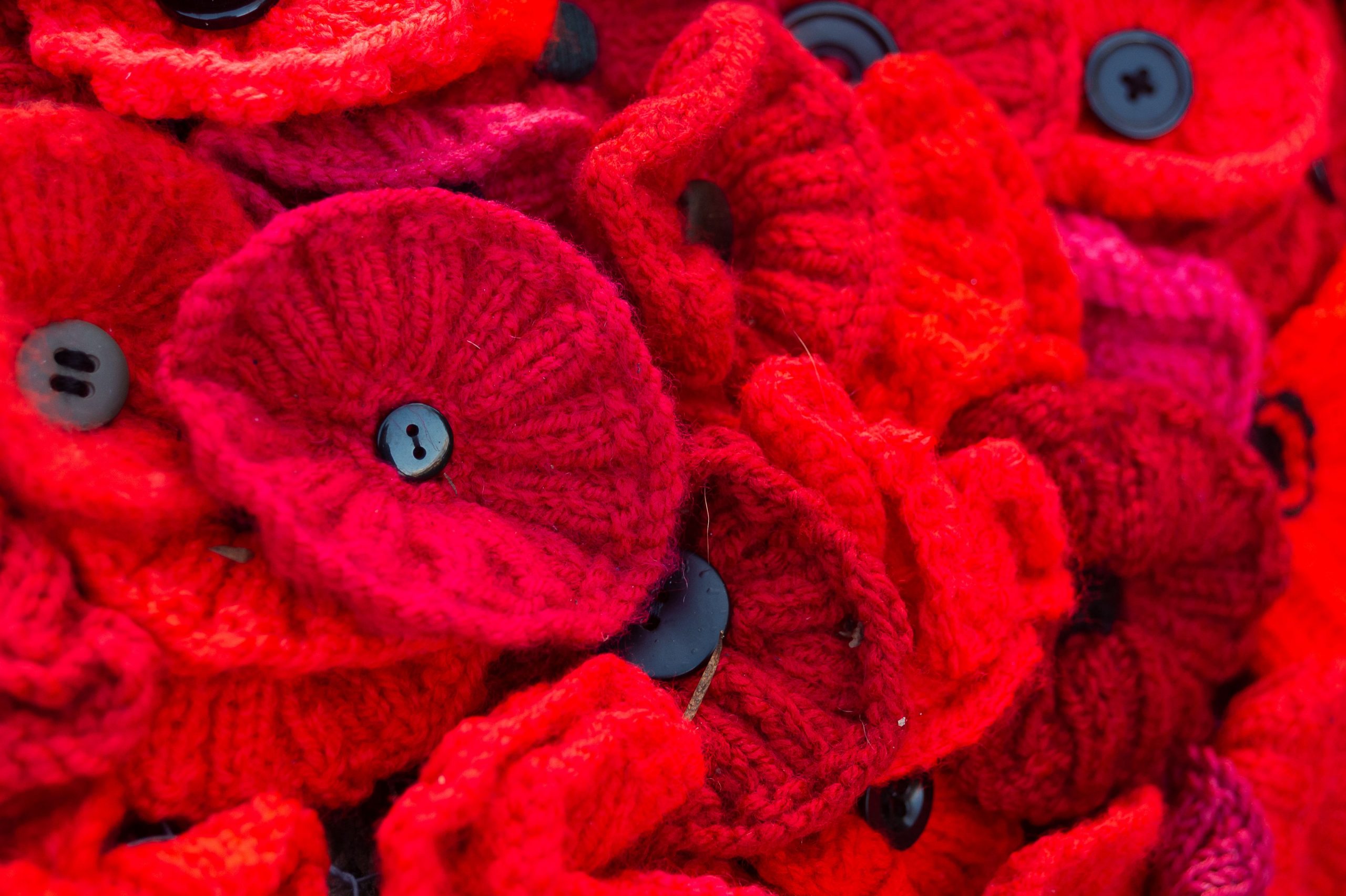 Large red hand stitched poppies