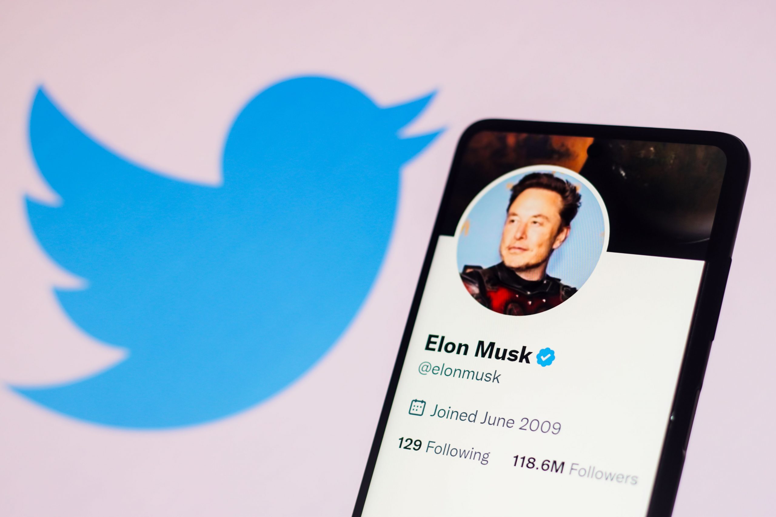 A picture of a phone with Elon Musk's account on Twitter and the blue bird Twitter logo in the background