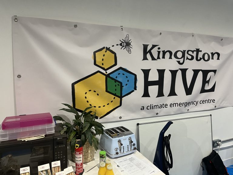Kingston Hive host an eco-friendly event on climate coaching and climate change
