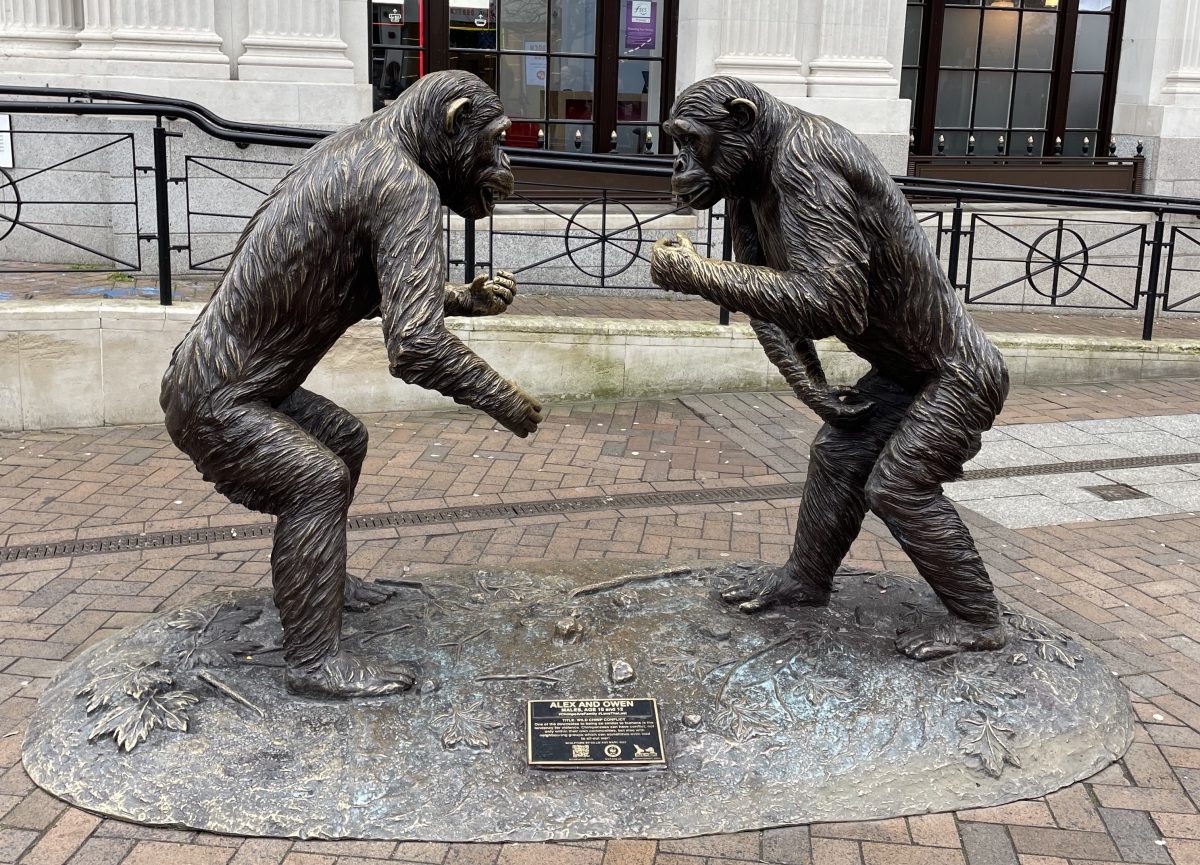 Chimp statues showing conflict