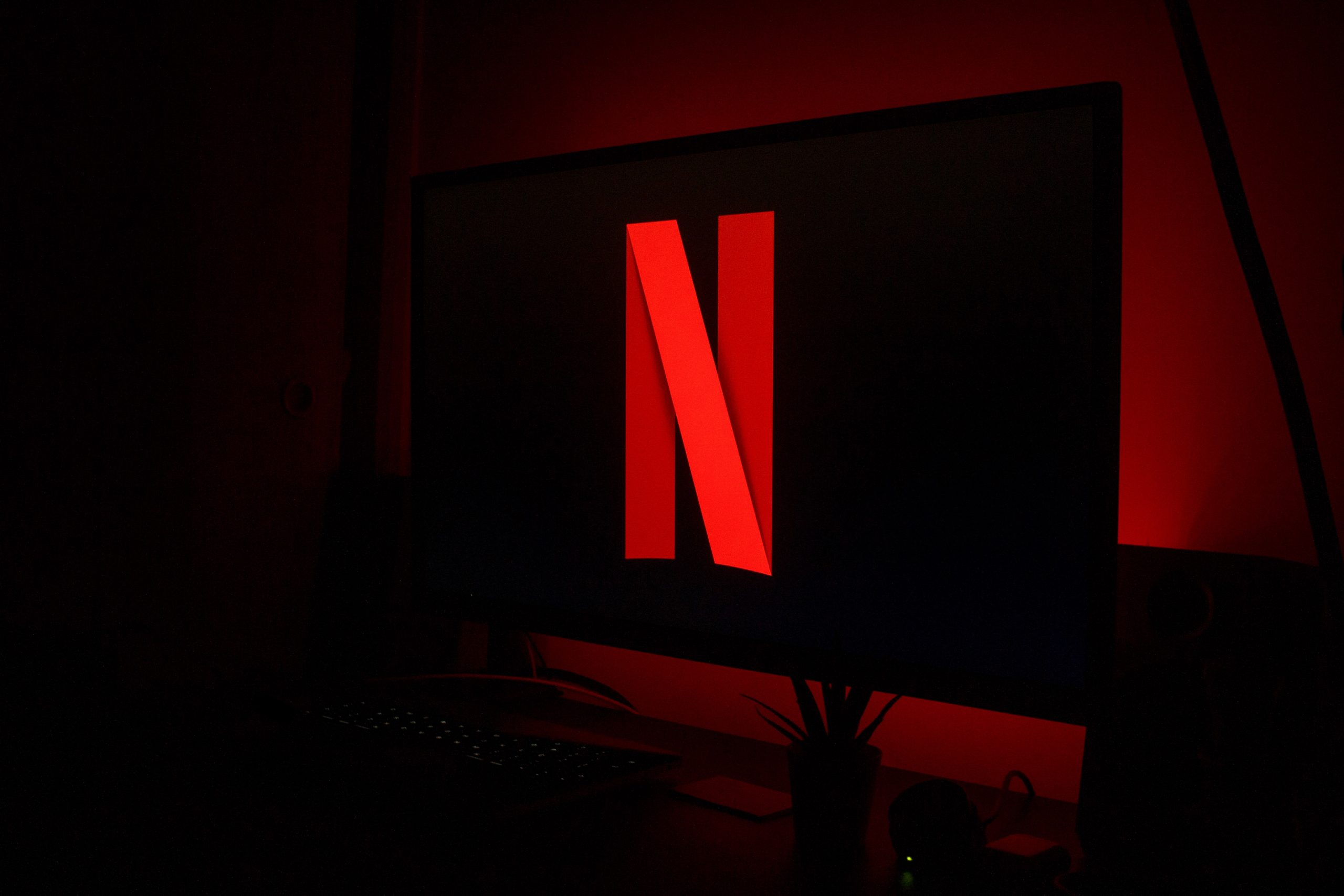 Netflix Logo on TV