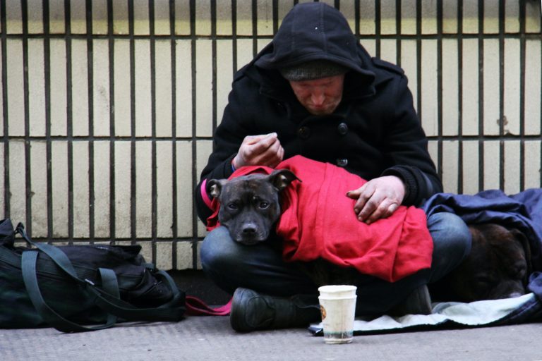 ‘Homelessness does not discriminate’