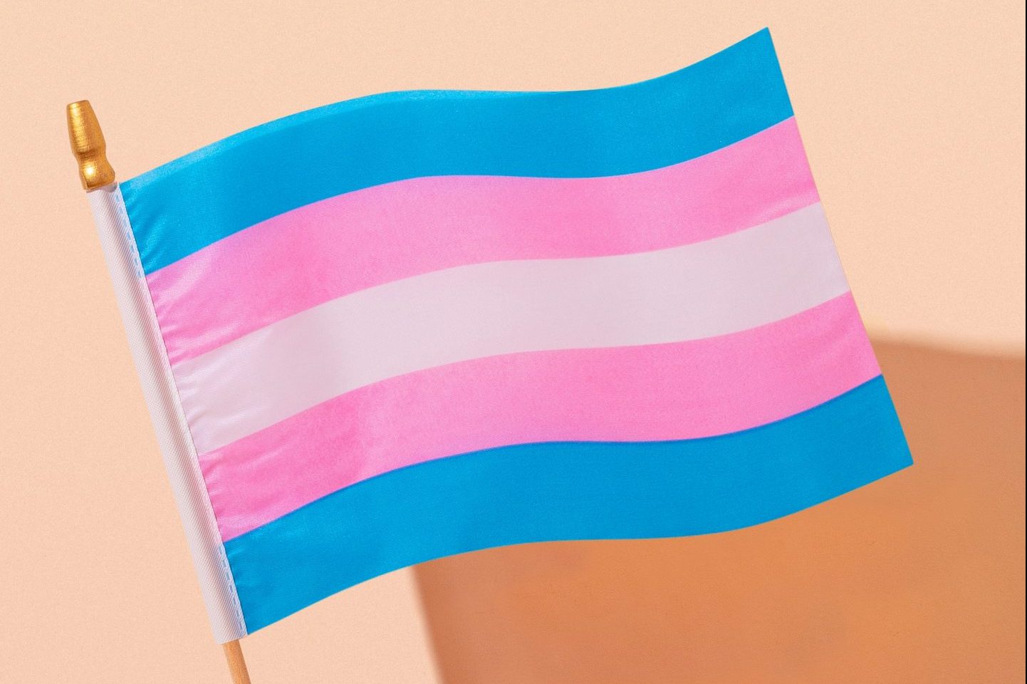 A small trans flag